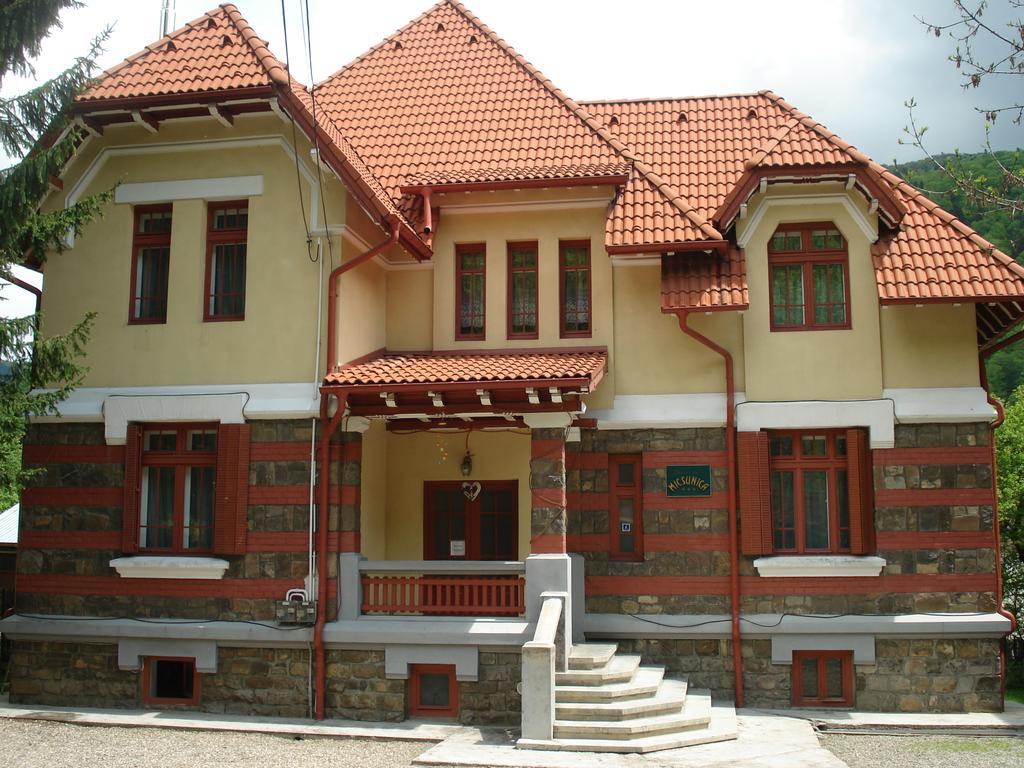 Pensiunea Micsunica Sinaia Exteriér fotografie